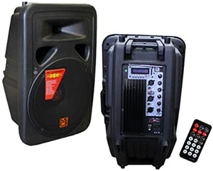 Mr. Dj PP3000BT 15-Inch 2500-Watt Max Power Speaker with Built-In LCD/MP3/USB/SD and Bluetooth Works with all DJ Equipment